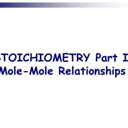 Unit 8 worksheet 1 mole relationships