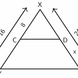 Triangle proportionality theorem answer key