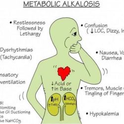 Acidosis gap metabolic anion base acid normal disorders renal illustration loss contact tubular