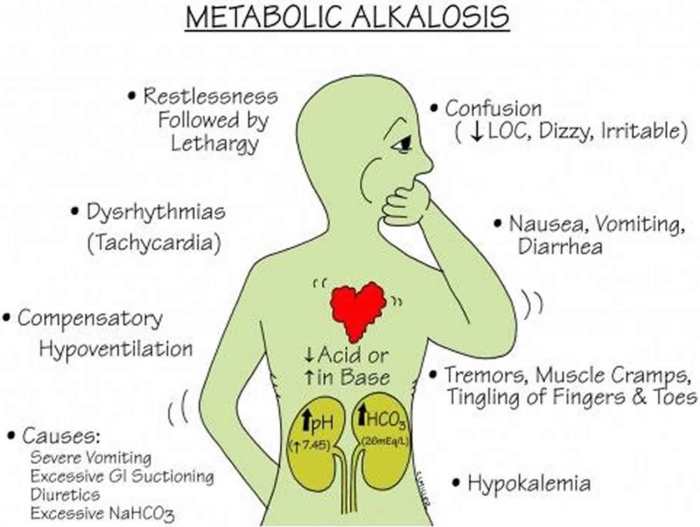 Acidosis gap metabolic anion base acid normal disorders renal illustration loss contact tubular