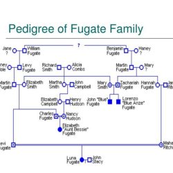 Blue pedigree people practice biology troublesome creek fugates activity teacherspayteachers