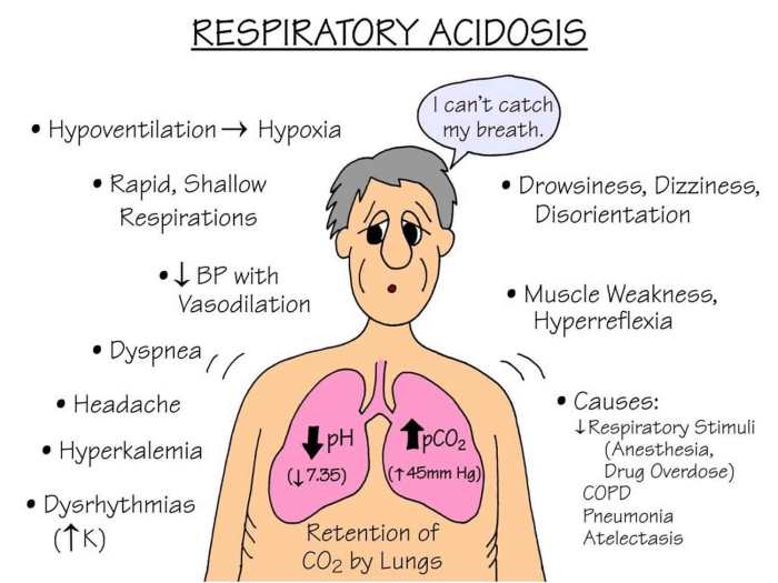 Match the following condition with its causes metabolic acidosis